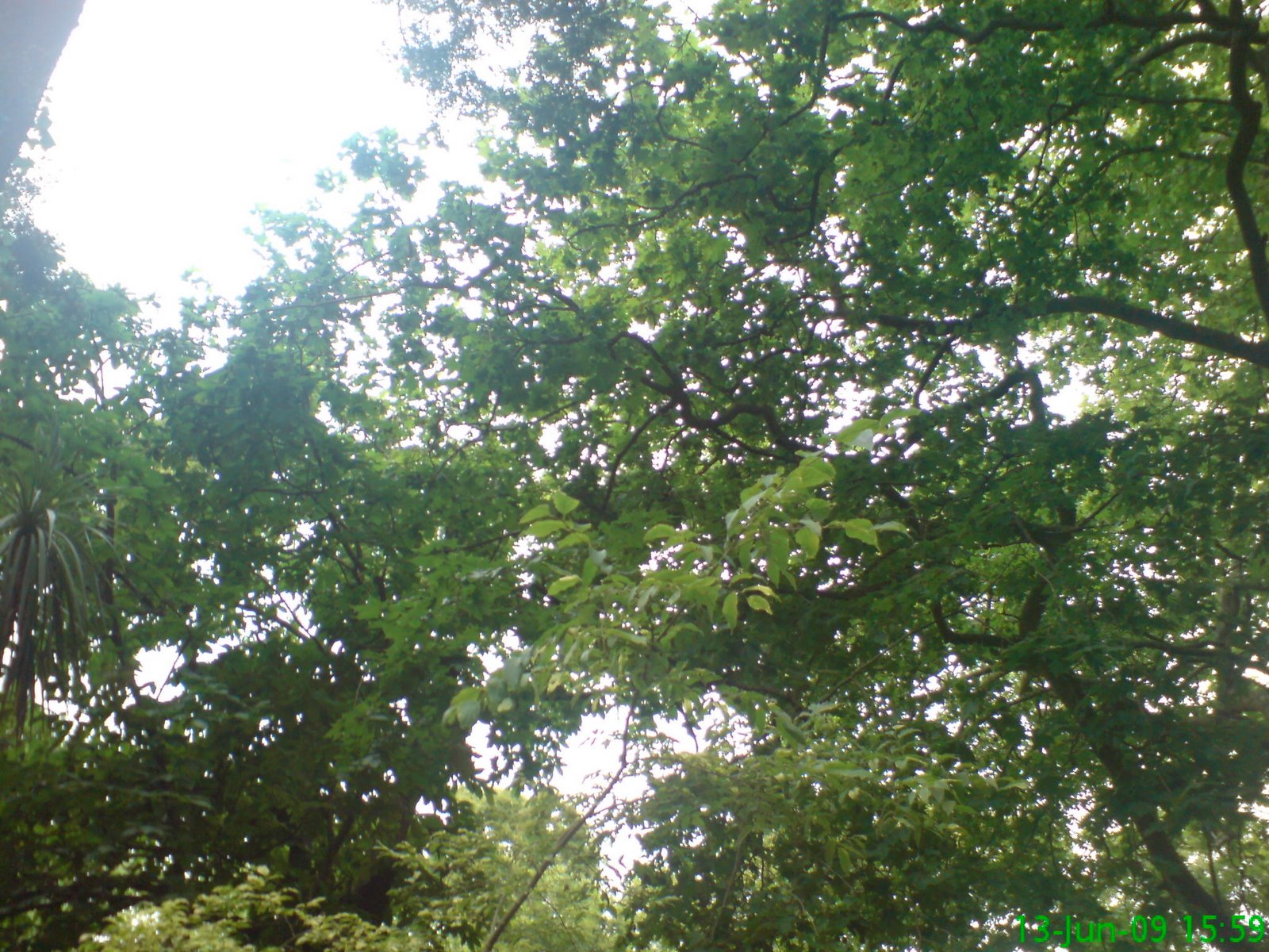 [DSC04494.JPG]
