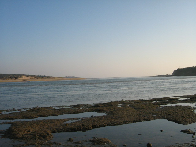 [IMG_0378.JPG]