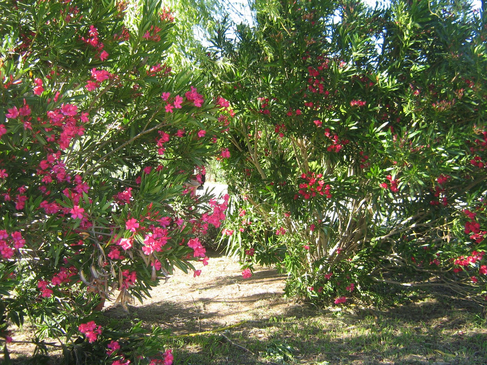 [2008+e+2009+631.JPG]