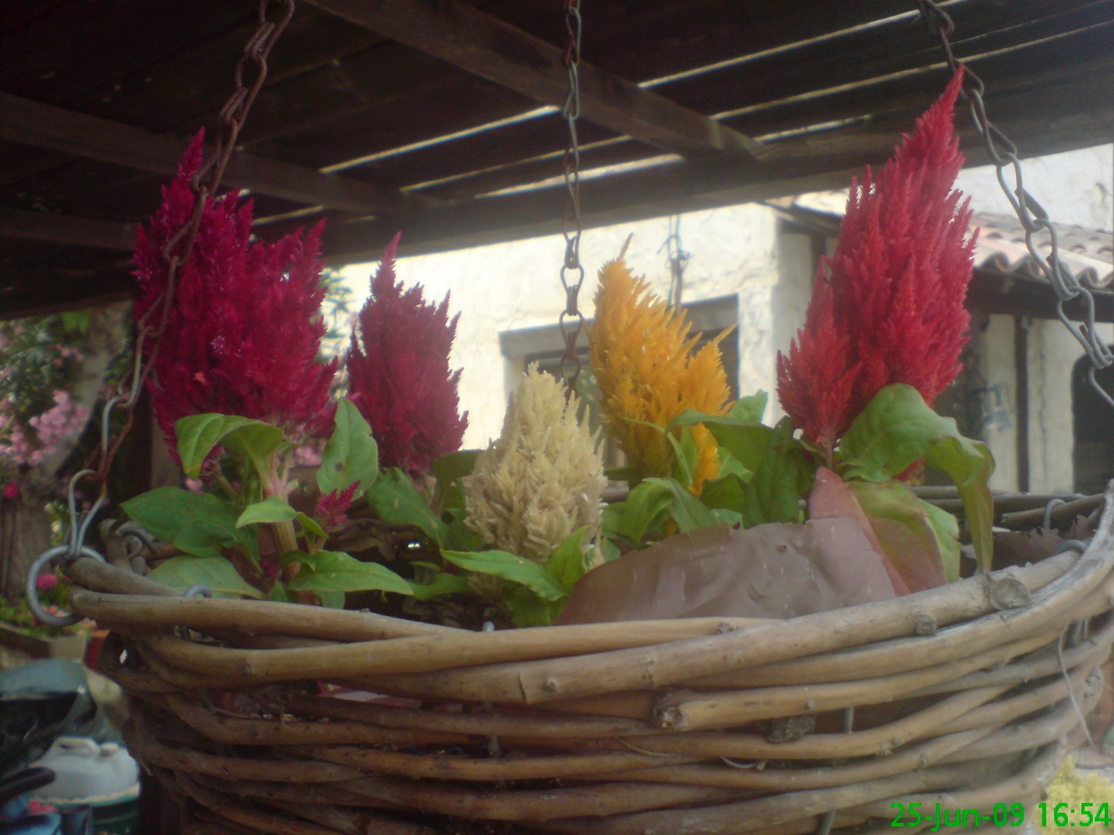 [DSC04639.JPG]