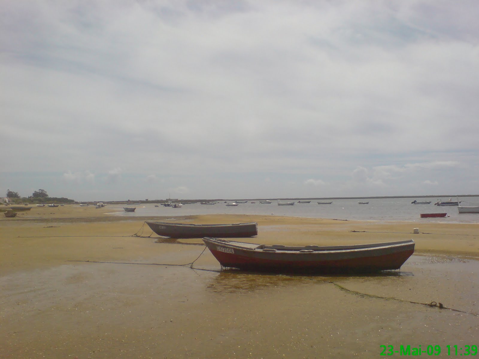 [DSC04317.JPG]