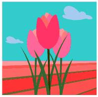 Tulips
