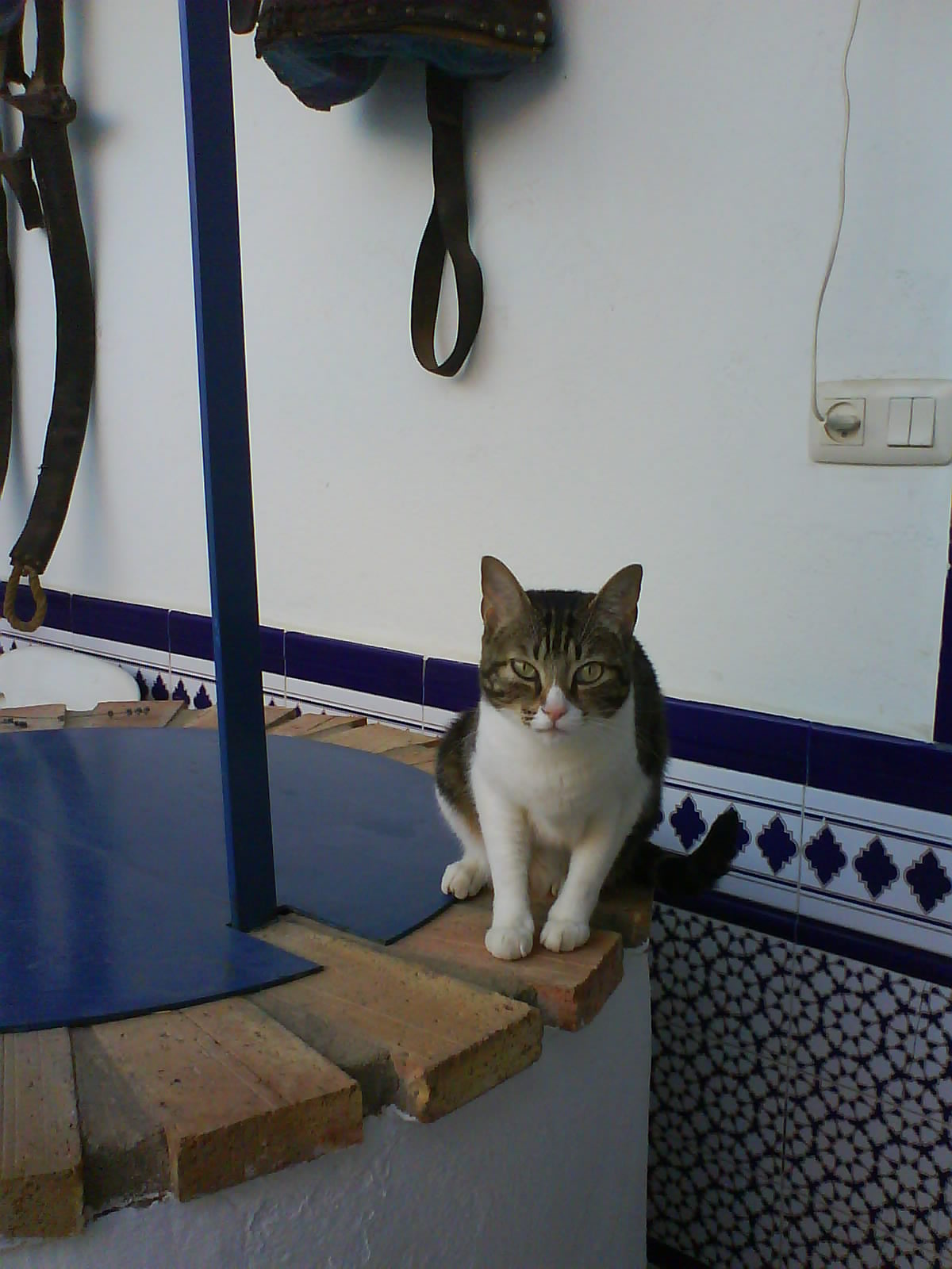 [DSC00197.JPG]