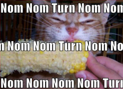 cat-nom-nom-turn.jpg