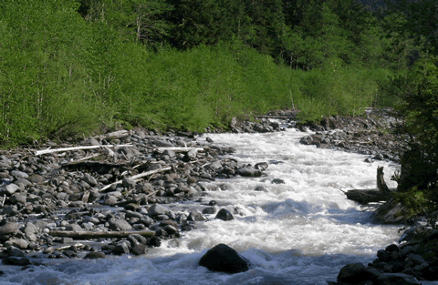 [Glacier-Creek.gif]