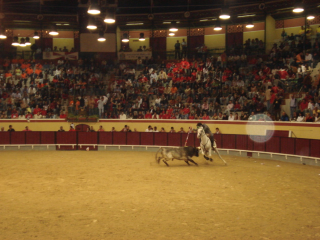 [DSC06767.JPG]