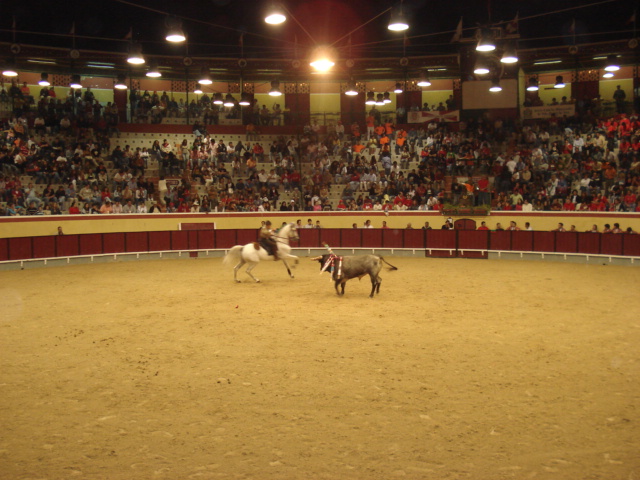 [DSC06764.JPG]