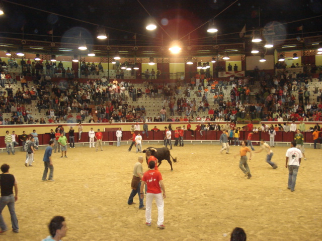 [DSC06779.JPG]