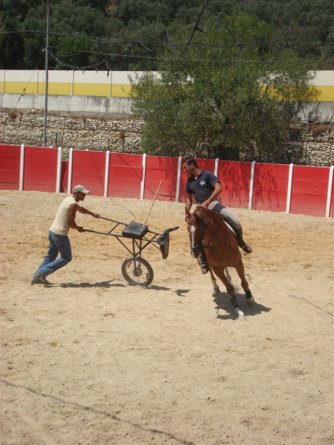 [DSC07282.JPG]