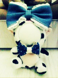 ♥cow cow