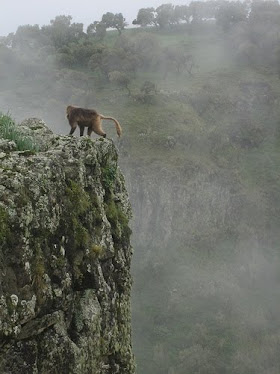 Parque nacional Simien