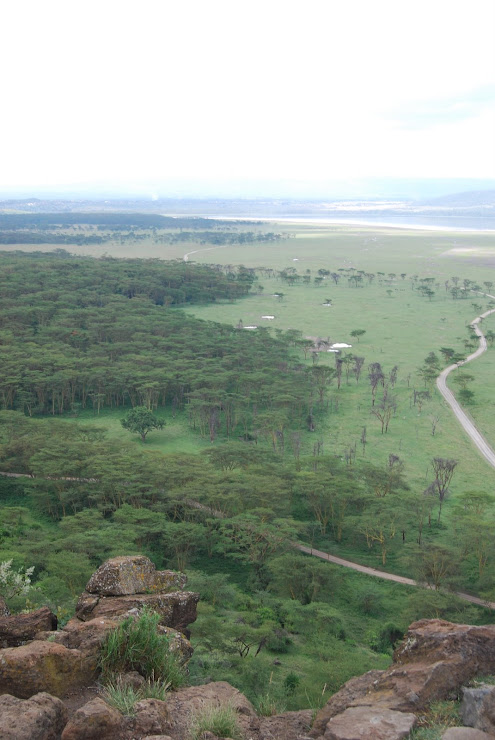 Lake Nakuru