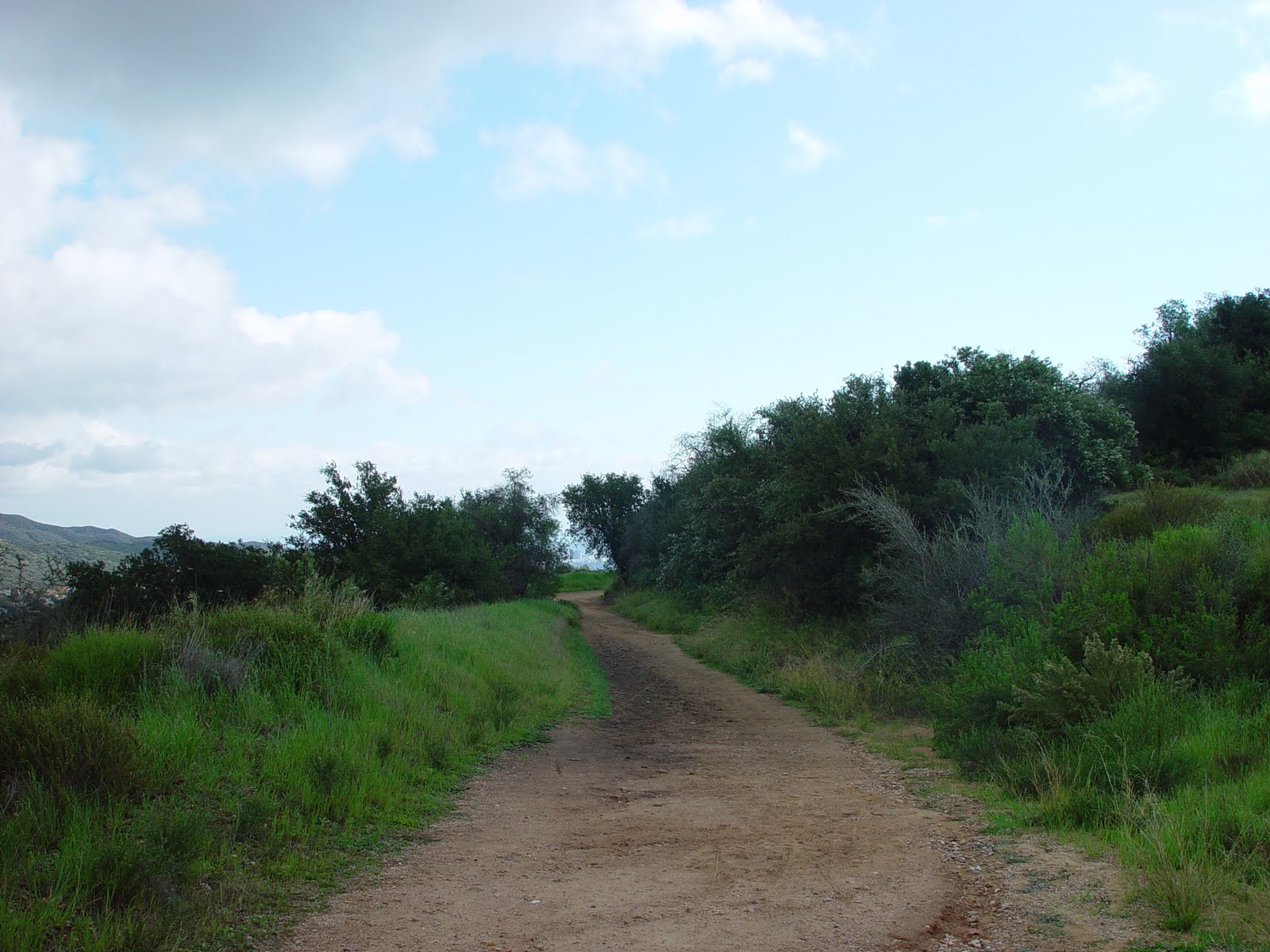 [DSC08588.JPG]