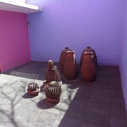 Paisajista Laila Huber: Luis Barragán