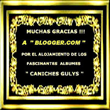 MUCHAS GRACIAS A "BLOGGER.COM"