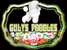 GULYS TOY POODLES