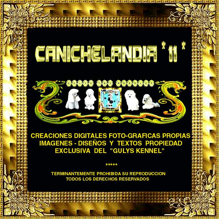 CANICHES GULYS - CANICHELANDIA - 11 -