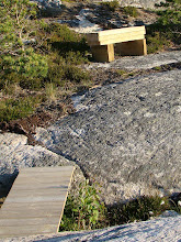 Liten bro og benk med utsikt