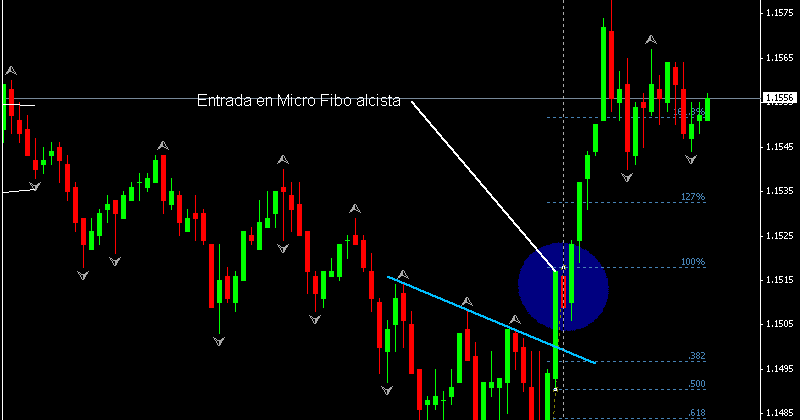 Robert borowski forex sailing