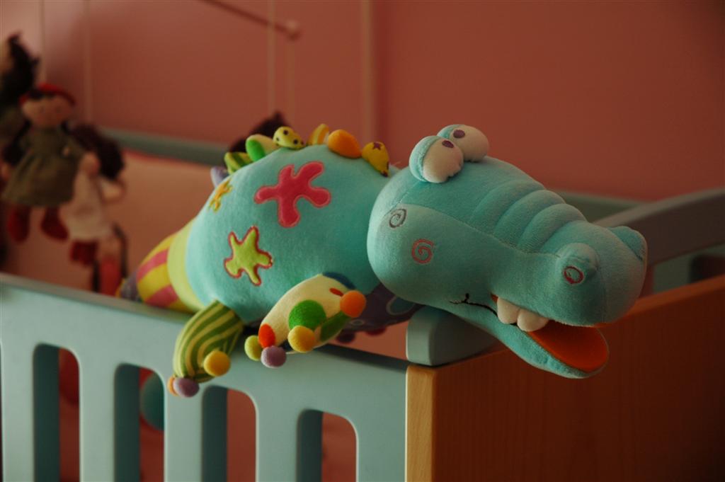 [Dragoncelo+(Large)+(2).JPG]