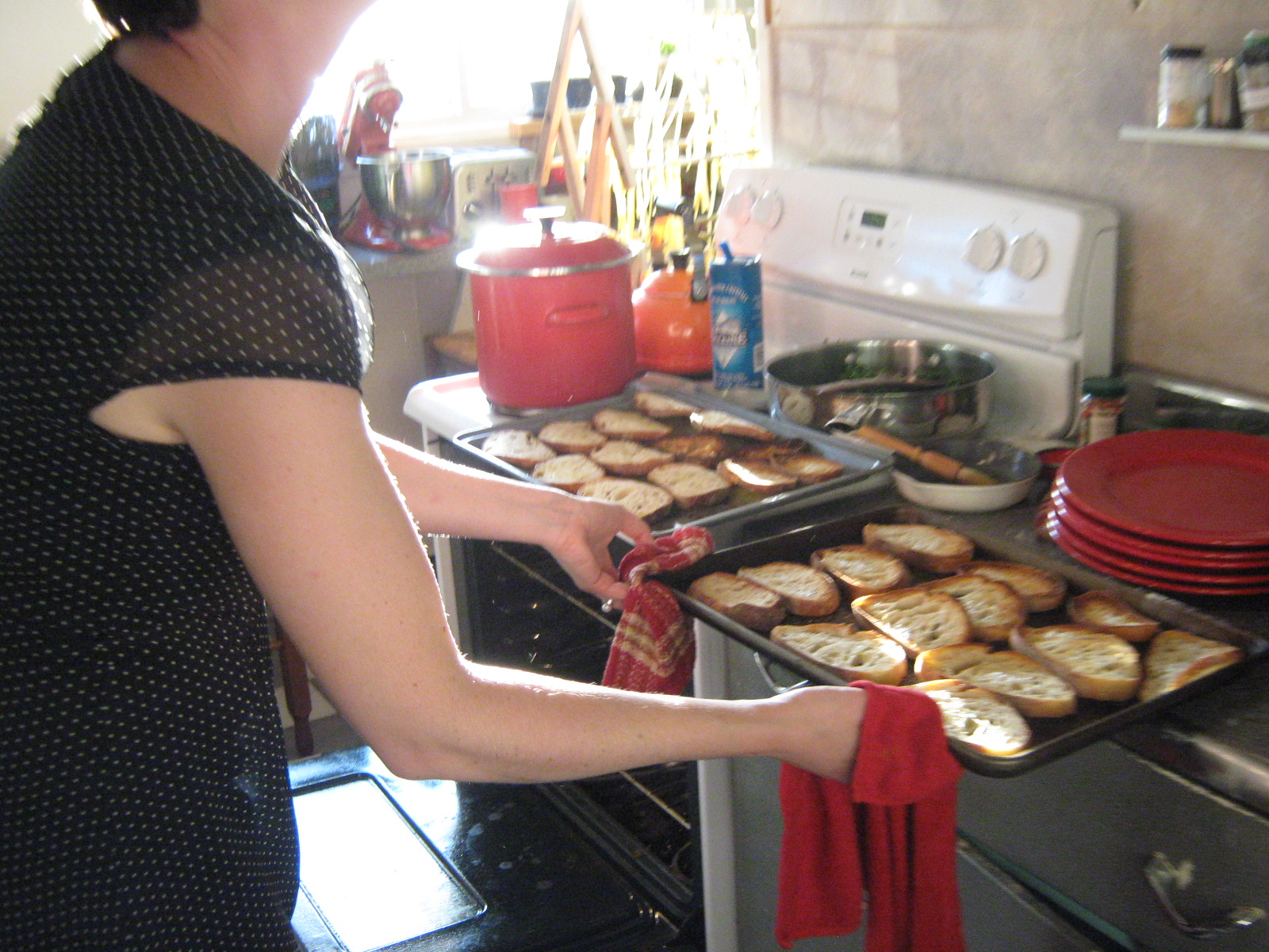 [IMG_1559.JPG]