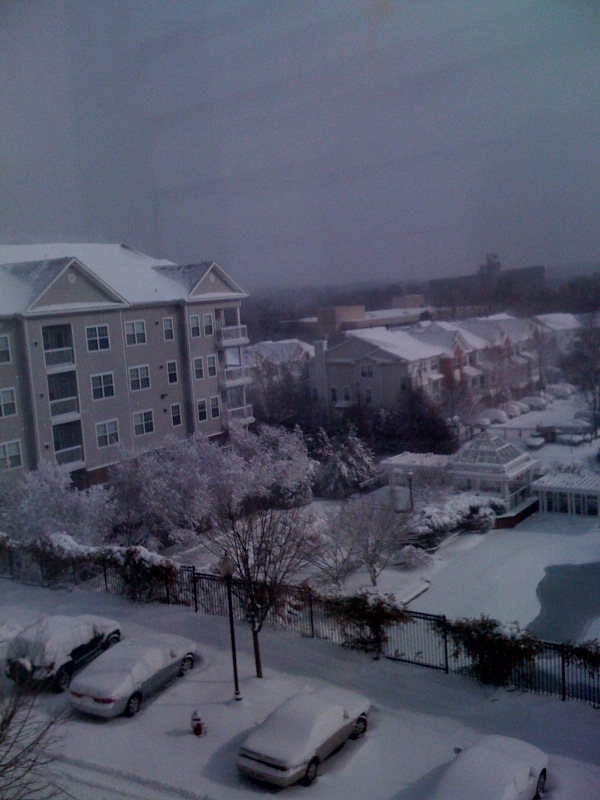 [snow2.jpeg]