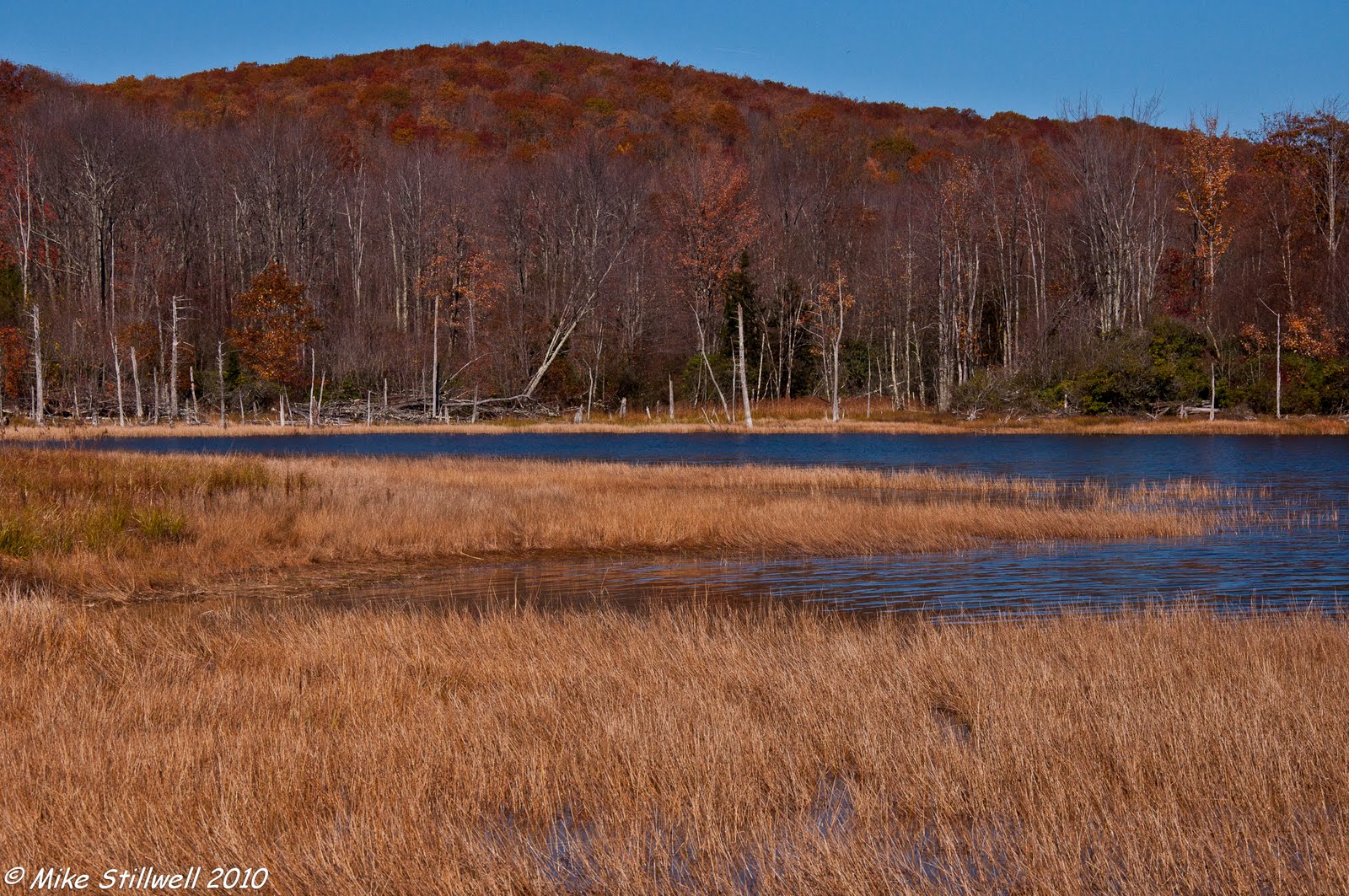 Walking On Empty Laurel Bed Lake Russell Co Va
