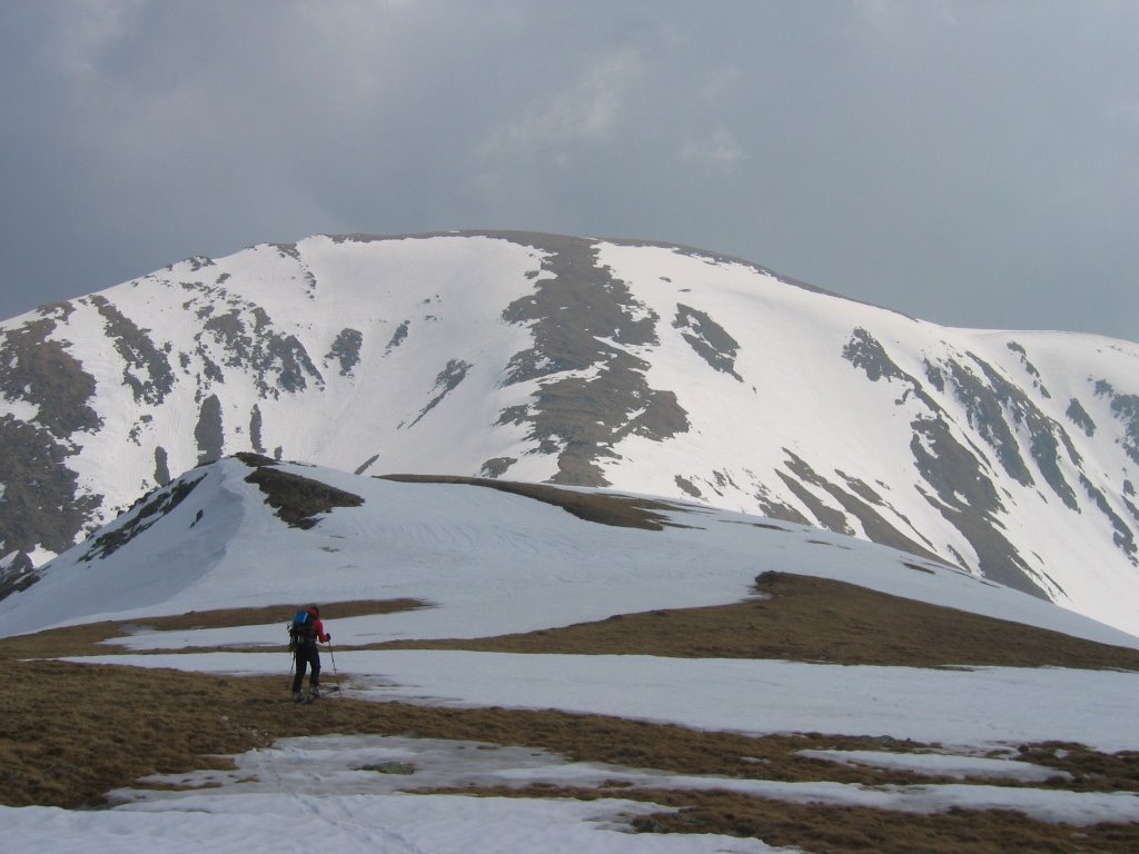 [IMG_2713.jpg]