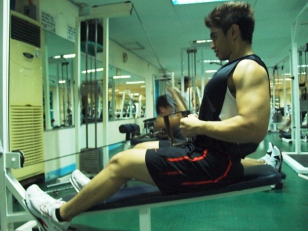 Seated Cable Rows
