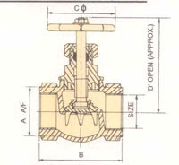 Bronze Globe Valves