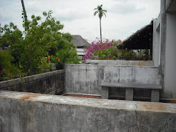 Looking towards our neighbor's patio