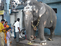 Lakshmi the elephant