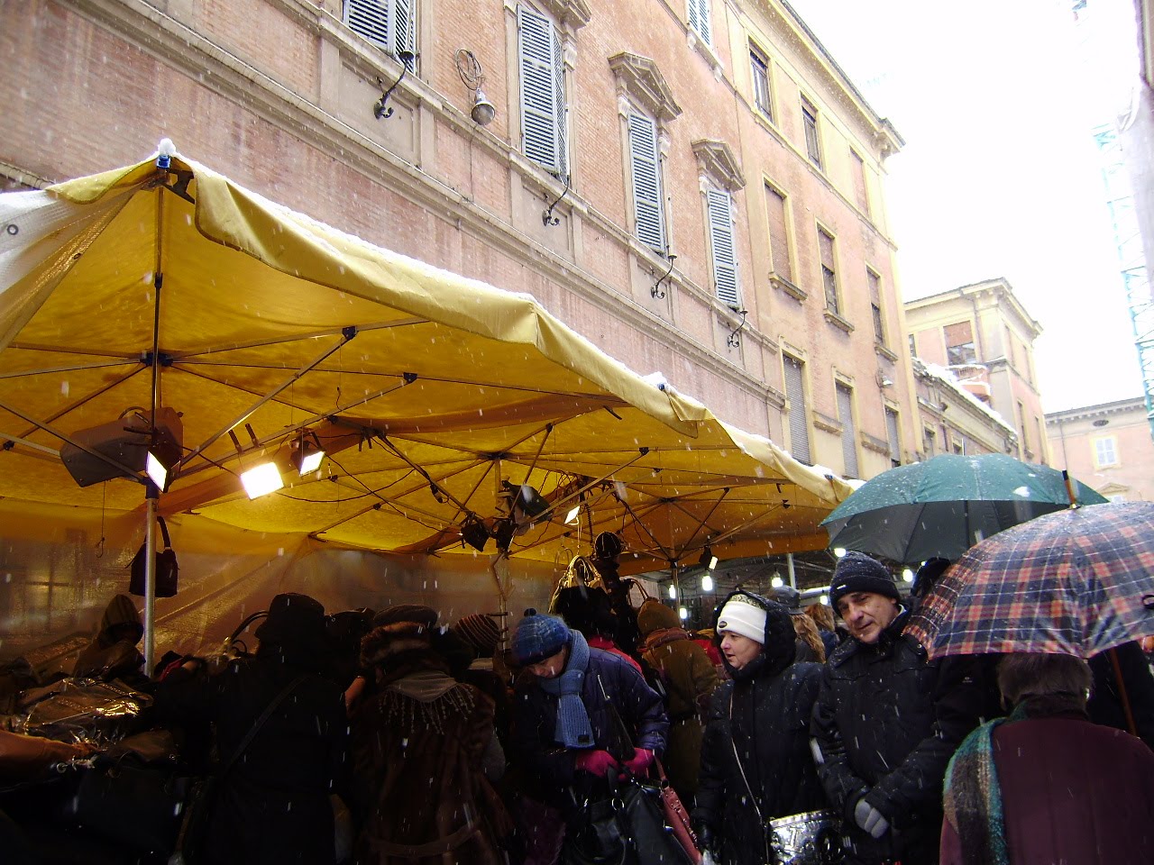 [P1310049.JPG]