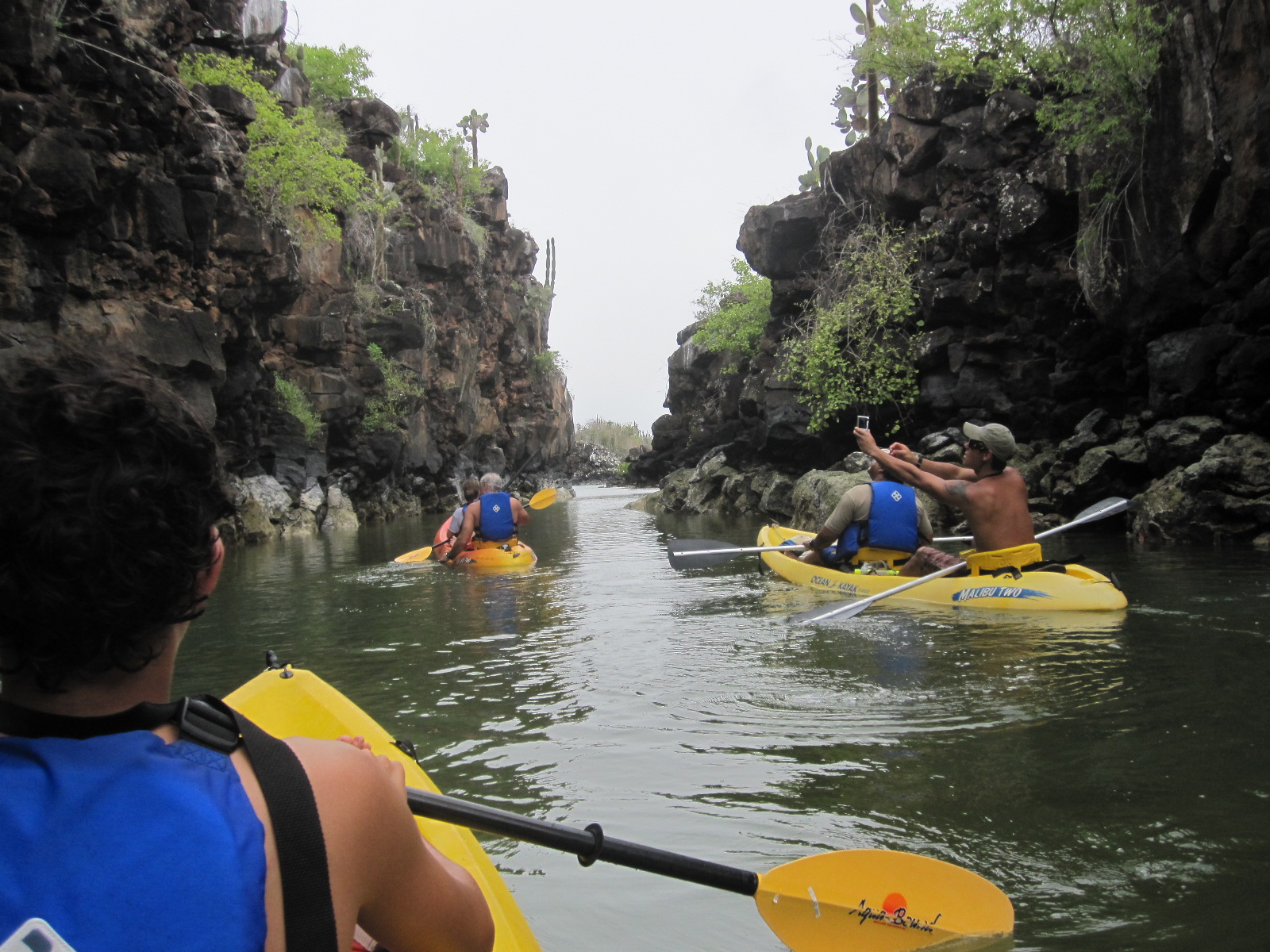 Along The Northwest Passage Galapagos Islands