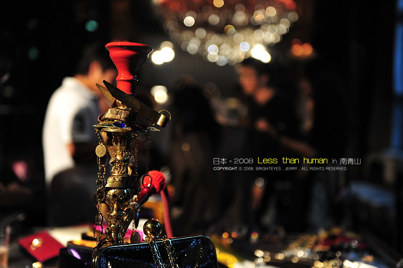 [DSC_53311.jpg]