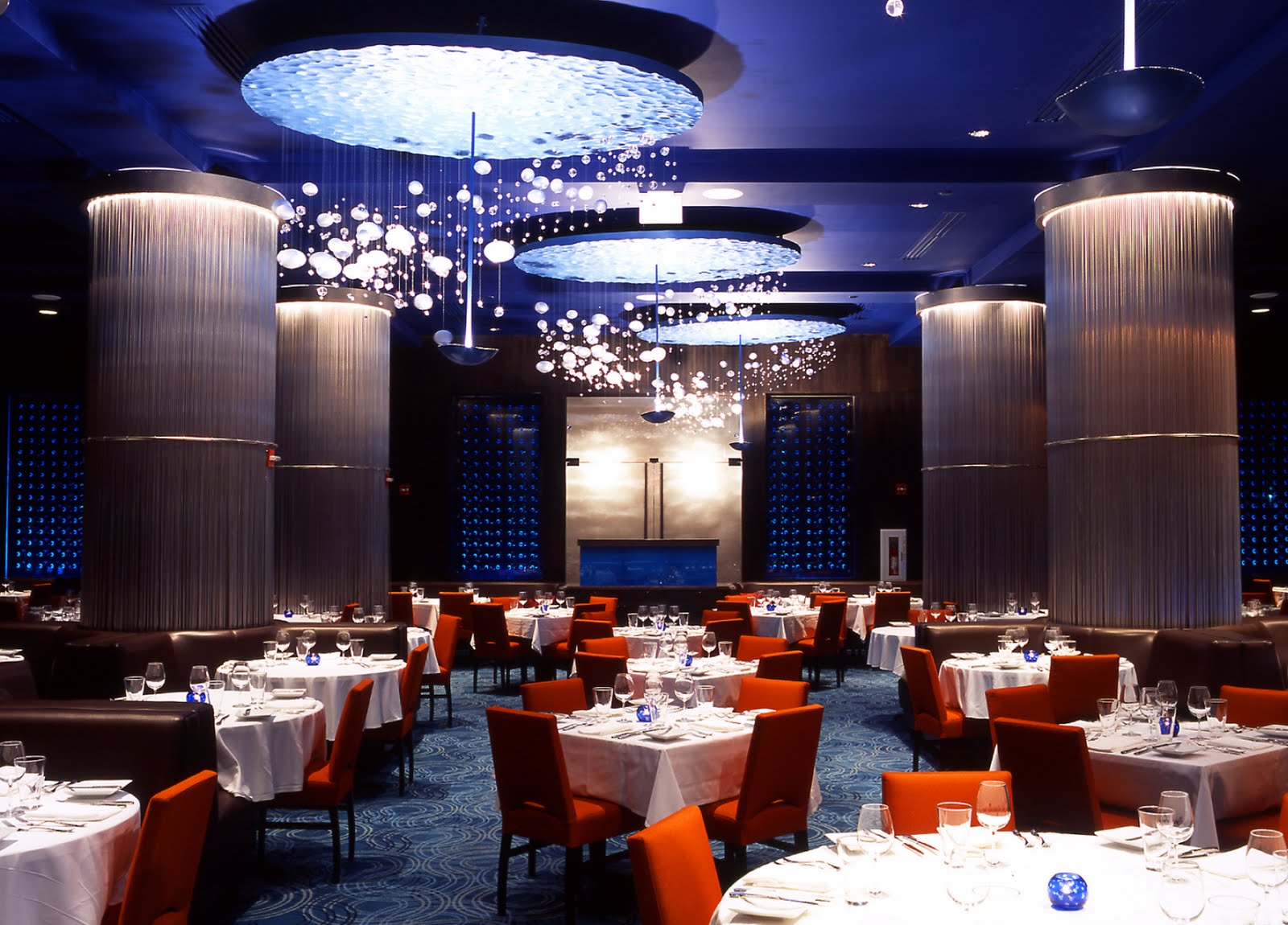 Haute Travels™ Disney's Bluezoo is Haute!