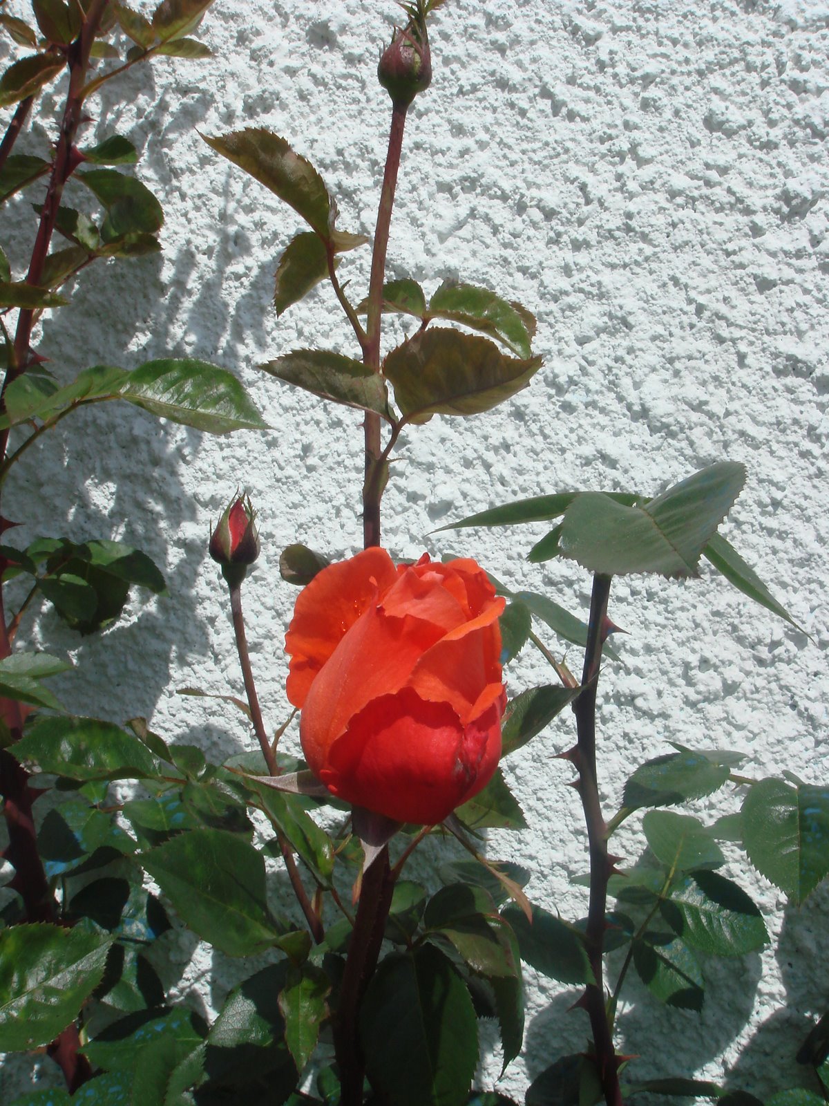 [DSC02837.JPG]