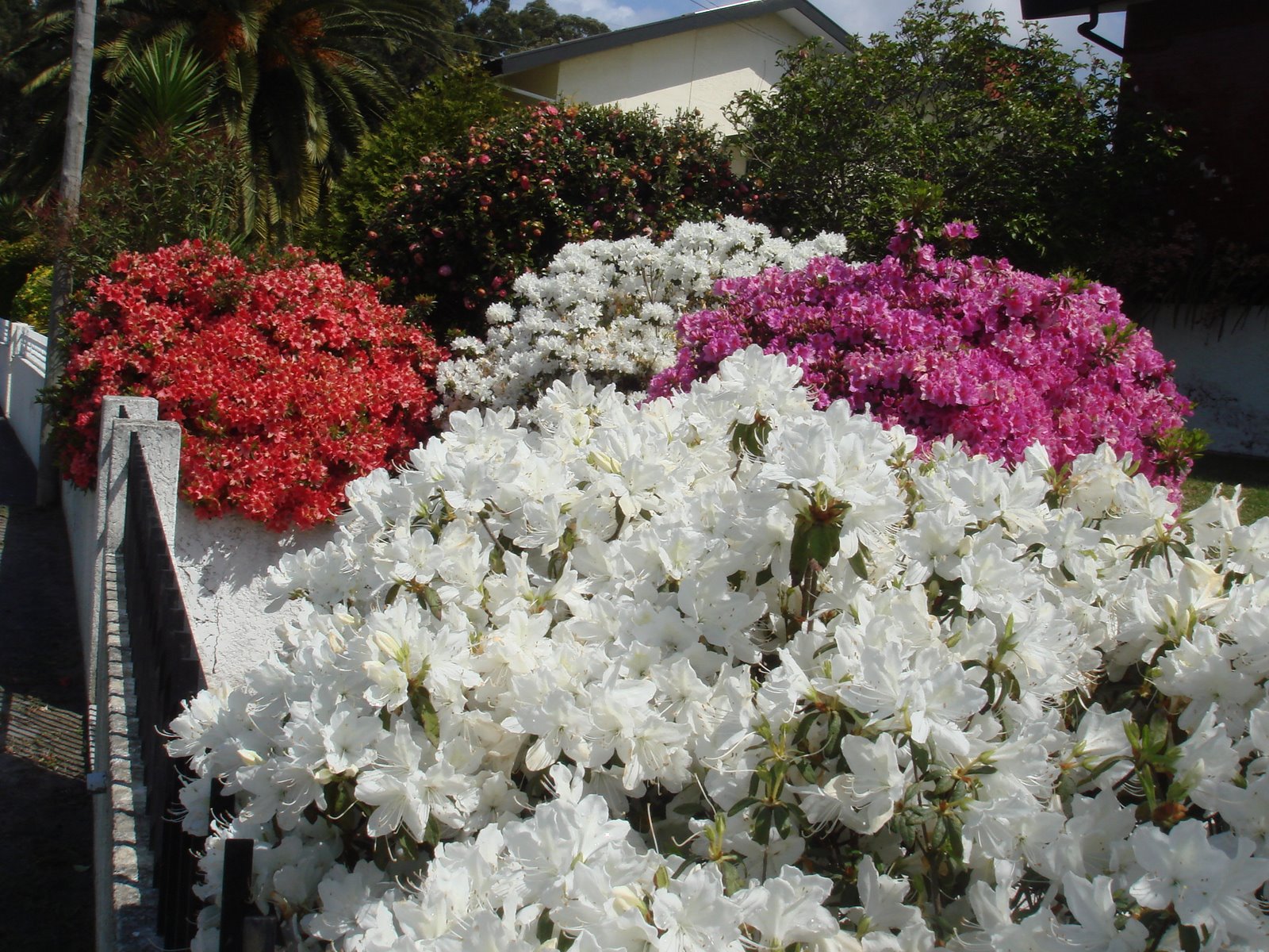 [DSC02762.JPG]