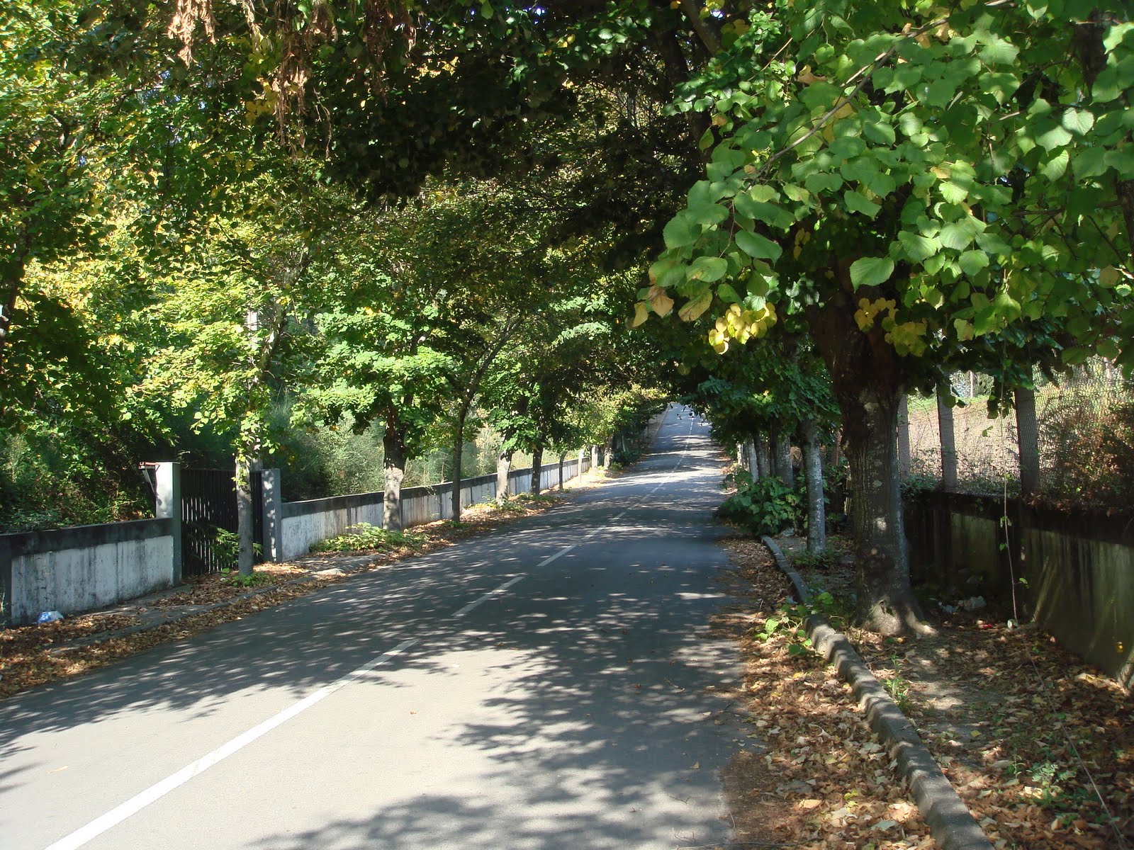 [DSC03548.JPG]