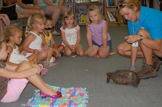 Palm Beach Zoo Programs Group of Children looking at Box Turtle