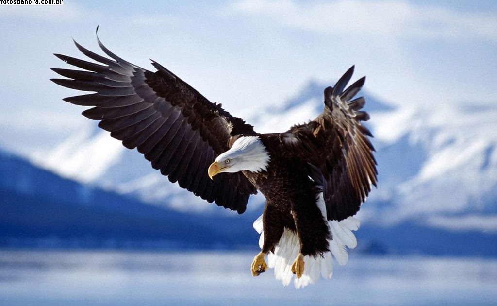 Significado de sonho de término de namoro