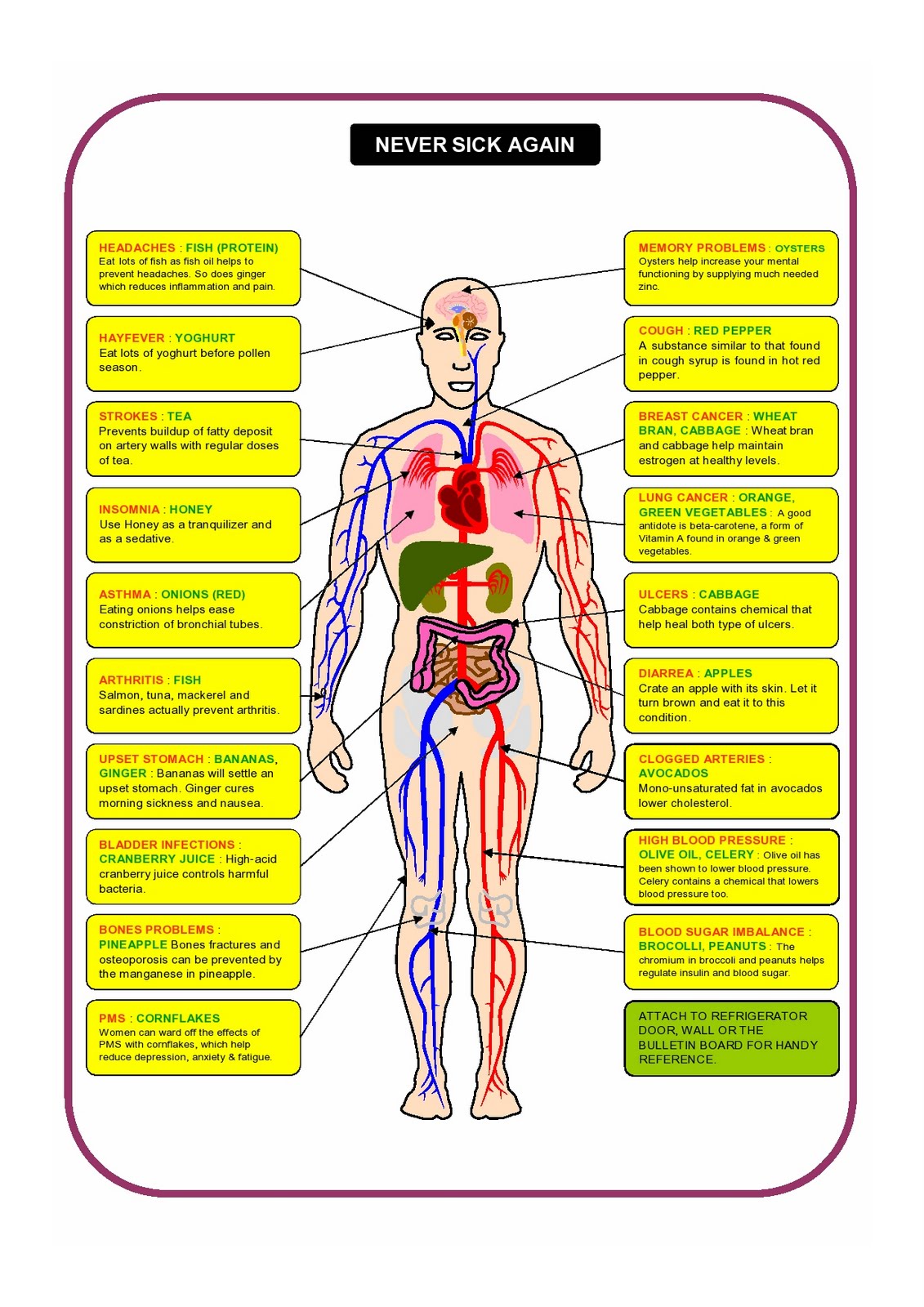 Health Tips on Never Sick Again Chart Diagram Health Fitness Care Tips Facts Benefits