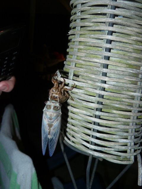 [P1130690.JPG]