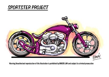 Custom bike concept
