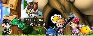 [55.bmp]