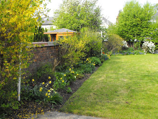 Yellows, Blues, and Greens in my Garden