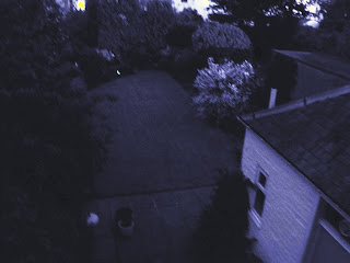 Garden at Midnight at Midsummer