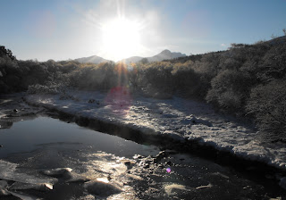 Mid-winter Sun