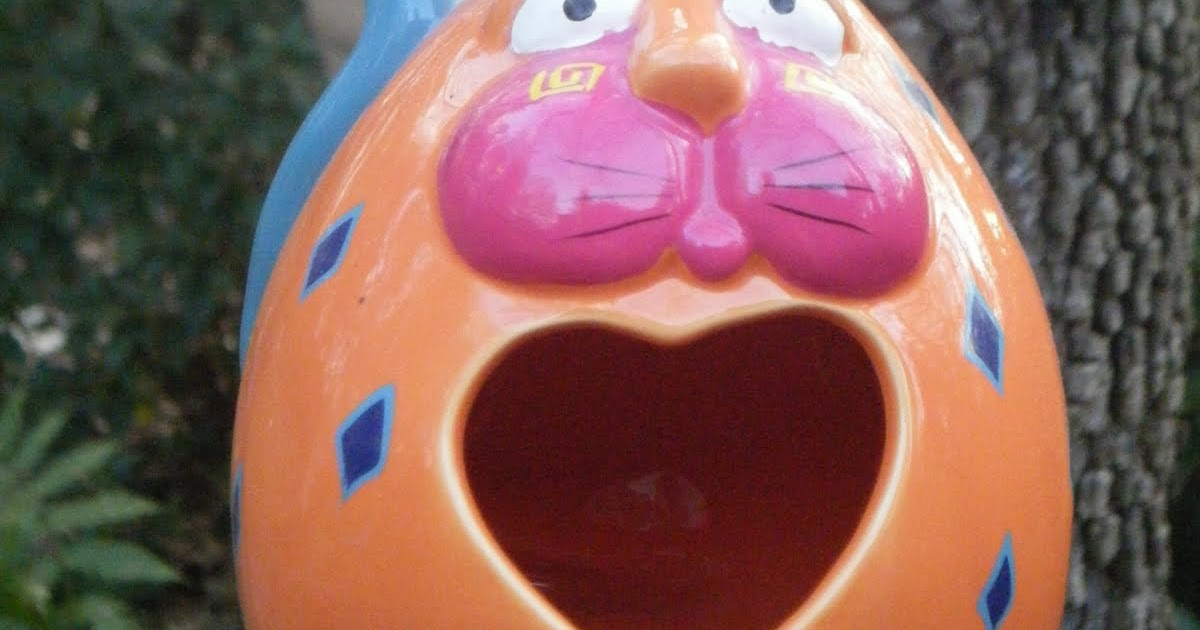 More Powerful Beyond Measure: A FEW OF MY FAVORITE BACKYARD THINGS