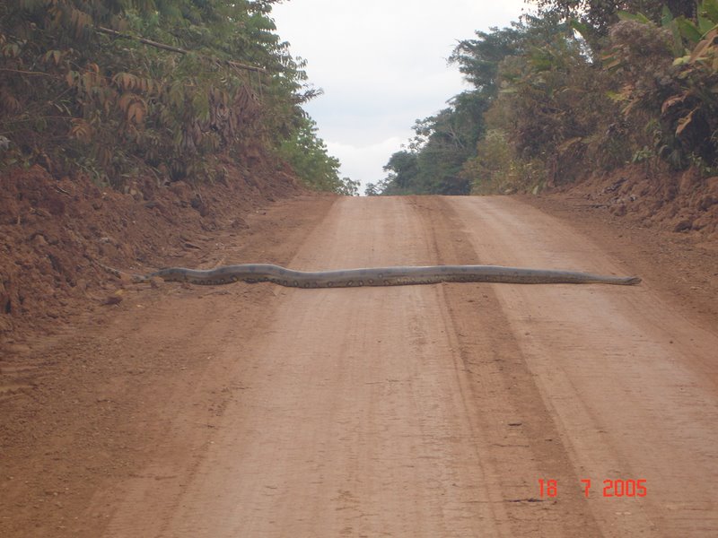 [QuebraMolasnaBR_364.jpg]